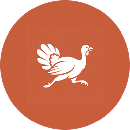Turkey Trot logo
